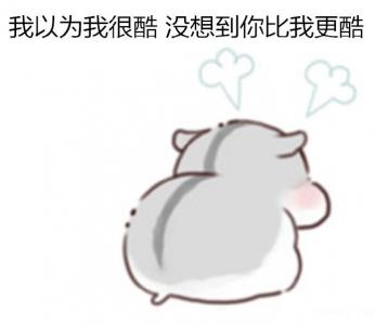 动物壁纸图片 _ 第(6)张