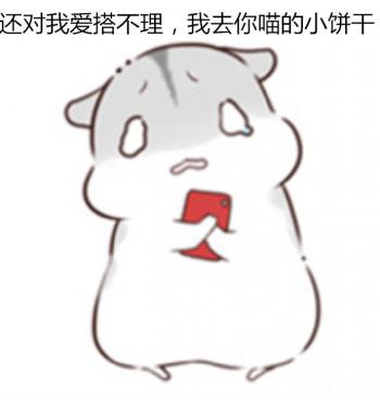 动物壁纸图片 _ 第(7)张