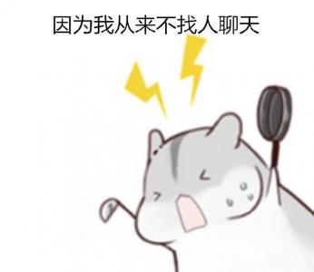 动物壁纸图片 _ 第(8)张