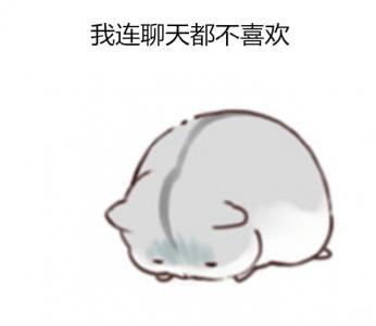 动物壁纸图片 _ 第(9)张