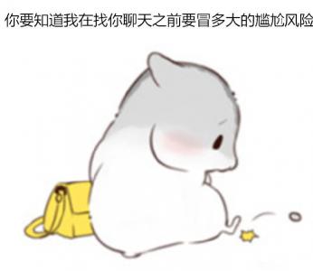 动物壁纸图片 _ 第(10)张