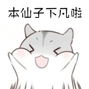 动物壁纸图片 _ 第(1)张