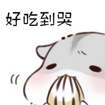 动物壁纸图片 _ 第(5)张