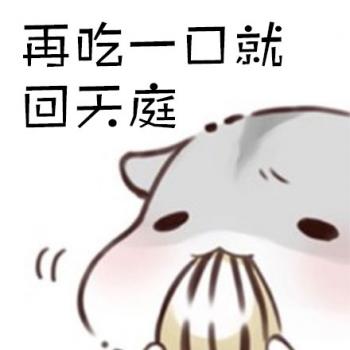 动物壁纸图片 _ 第(9)张