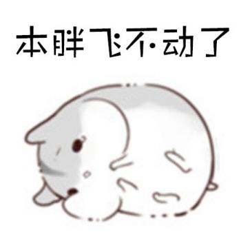 动物壁纸图片 _ 第(10)张