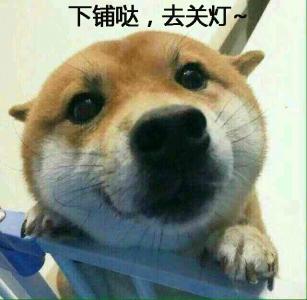 2008欧洲野生动物摄影大赛第0张