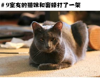 萌宠图片图片 _ 第(10)张