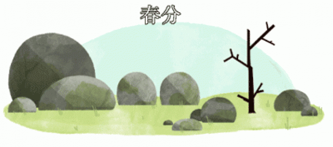 第0张