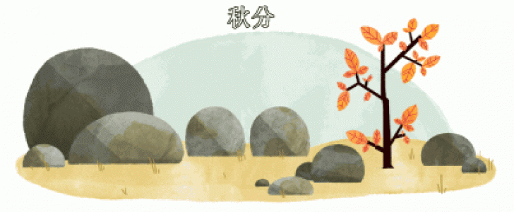 第3张