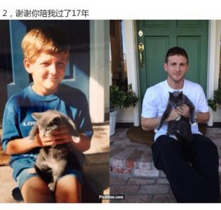 超可爱小猫图片高清手机壁纸第2张