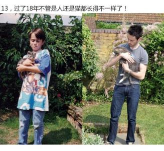 鸡图片图片 _ 第(14)张