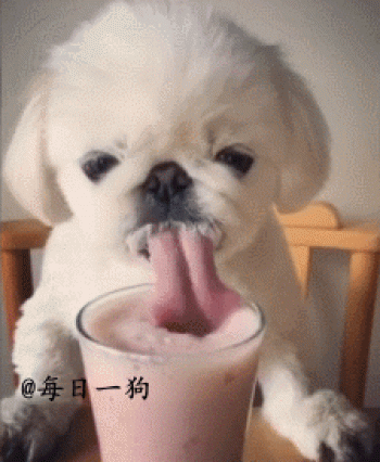 动物壁纸图片 _ 第(4)张