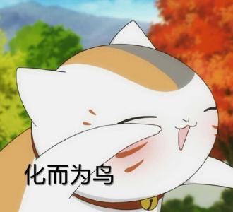图片 _ 第(4)张