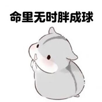 2008欧洲野生动物摄影大赛第3张