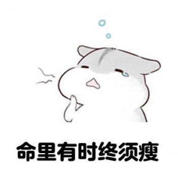 2008欧洲野生动物摄影大赛第4张
