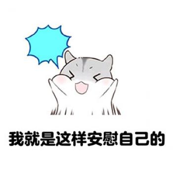 动物壁纸图片 _ 第(8)张