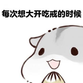 动物壁纸图片 _ 第(9)张