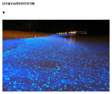 旅游壁纸图片 _ 第(4)张