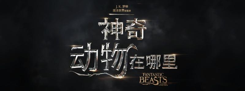 动物壁纸图片 _ 第(14)张