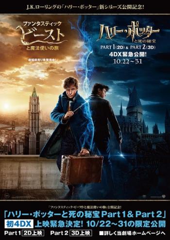 动物壁纸图片 _ 第(21)张
