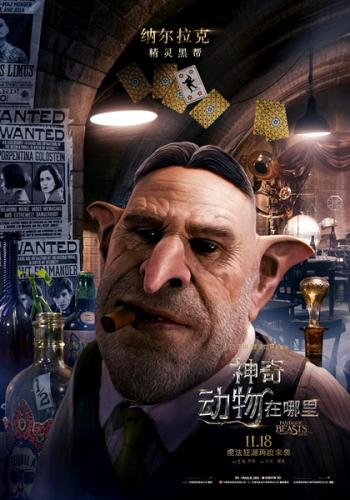 动物壁纸图片 _ 第(38)张