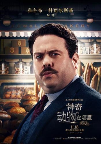 动物壁纸图片 _ 第(42)张