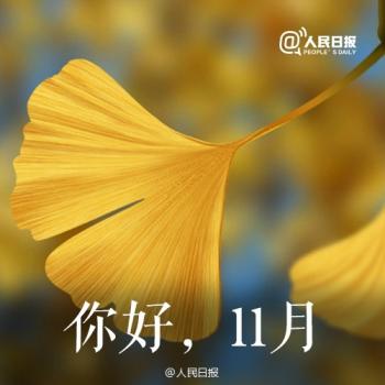 节日图片 _ 第(6)张