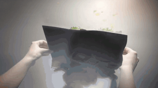 动态图片图片 _ 第(8)张