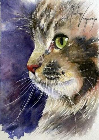 现代生活对猫产生的变化第2张