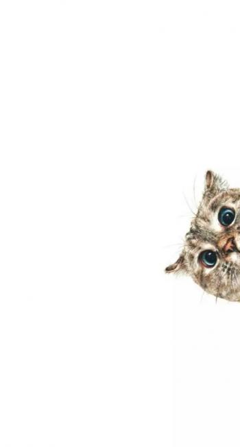 现代生活对猫产生的变化第4张