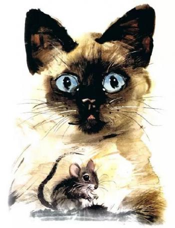 现代生活对猫产生的变化第5张