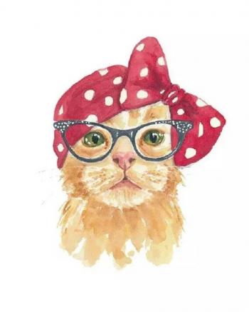 小猫图片 _ 第(8)张