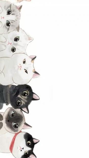 小猫图片 _ 第(10)张