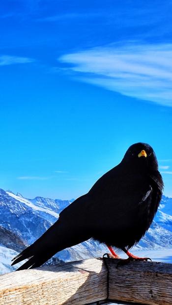 山东青岛唯美海边风景图片第4张