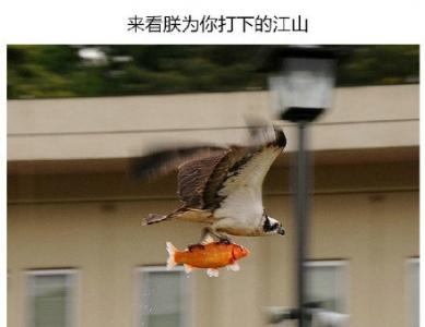 卡通系列幽默搞笑表情包图片  这个月我想买件长袖第2张