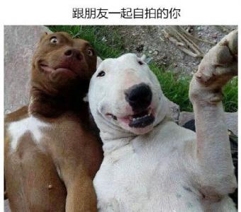卡通系列幽默搞笑表情包图片  这个月我想买件长袖第4张
