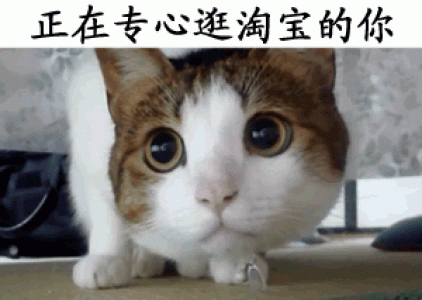 搞笑文字图片 _ 第(1)张
