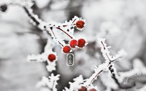 雪景图片 _ 第(10)张