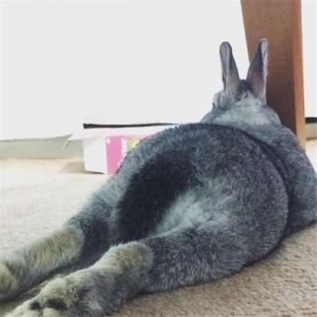 第3张