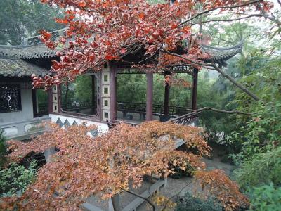 美丽风景第3张