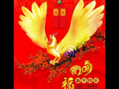 第3张