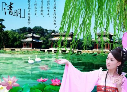 第0张