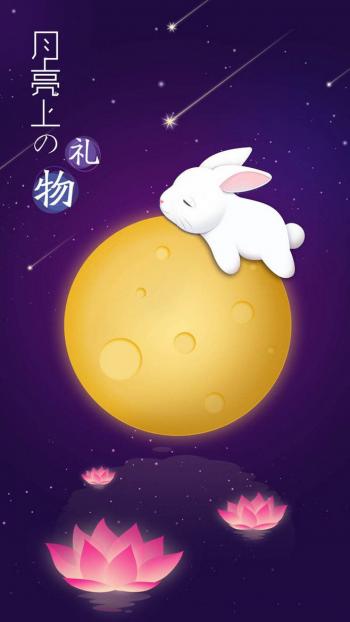 第0张