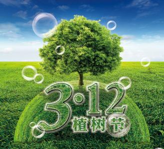 节日图片 _ 第(3)张