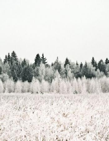 白茫茫雪景图片高清桌面壁纸第0张