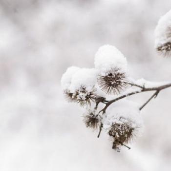 白茫茫雪景图片高清桌面壁纸第6张