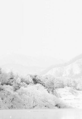 雪景图片 _ 第(8)张