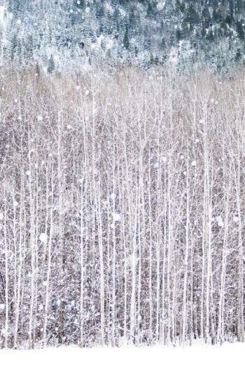 雪景图片 _ 第(10)张