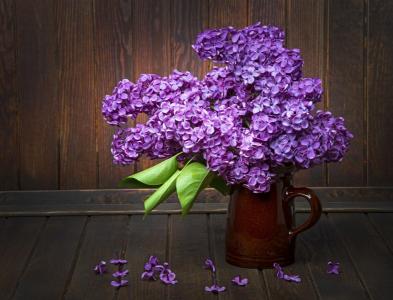 丁香花第3张