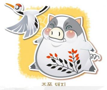 十二生肖猪图片  可爱小猪生活日常图片第4张